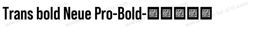 Trans bold Neue Pro-Bold字体转换